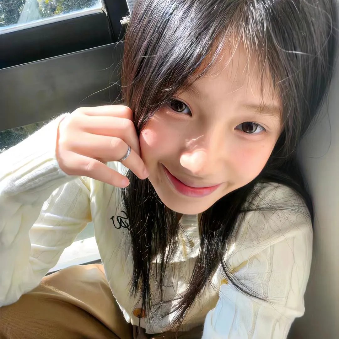 杨三姐告状封面