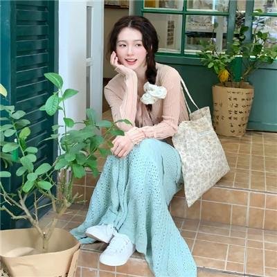 与晨同光封面