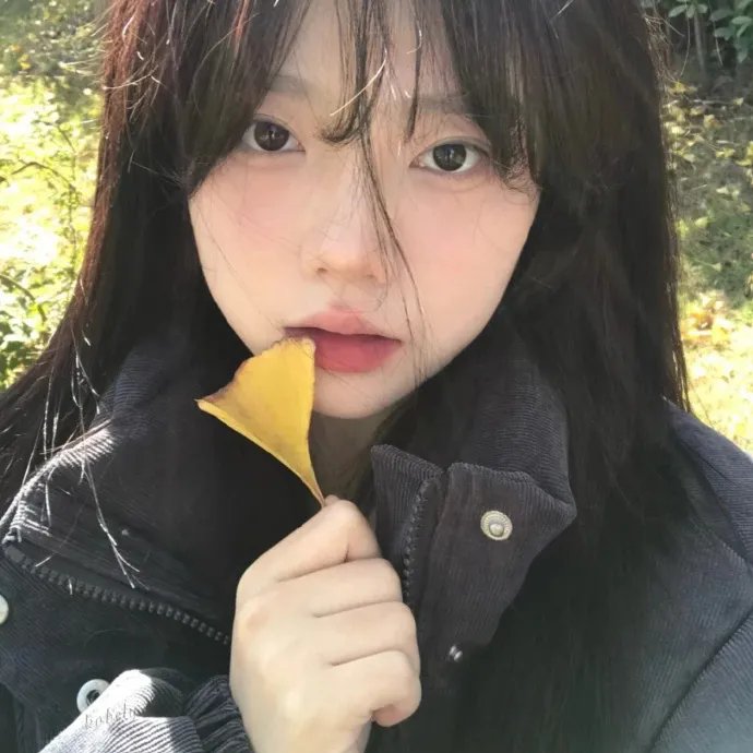 哈莉·奎茵第二季封面